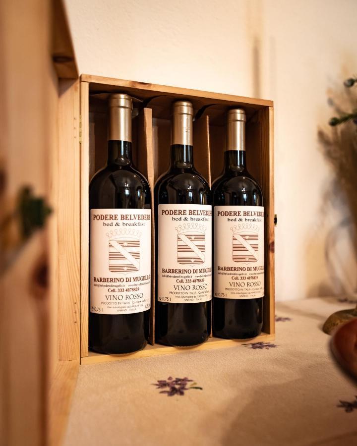 Frühstückspension Podere Belvedere Barberino di Mugello